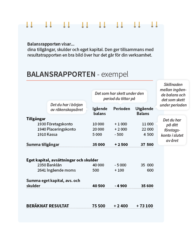 Balansrapport-exempel